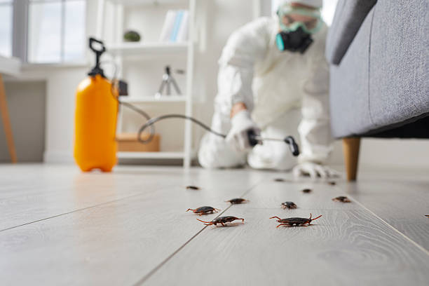 Commercial Kitchen Cockroach Control in Northfield